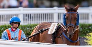 Régis GUEGUEN - Réphoto